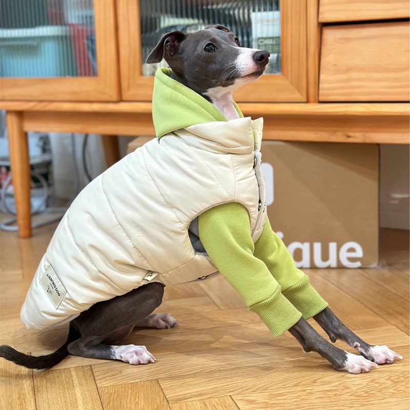 Luxurious Warm Italian Greyhound Dog Vest