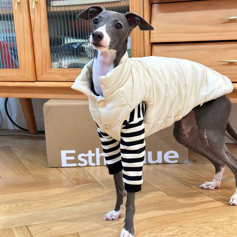 Luxurious Warm Italian Greyhound Dog Vest