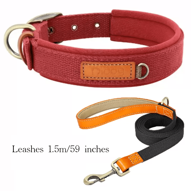 Durable Adjustable Dog Collar with ID Tag