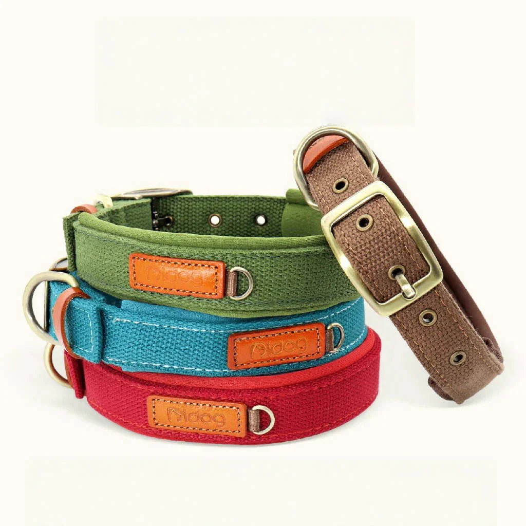 Durable Adjustable Dog Collar with ID Tag