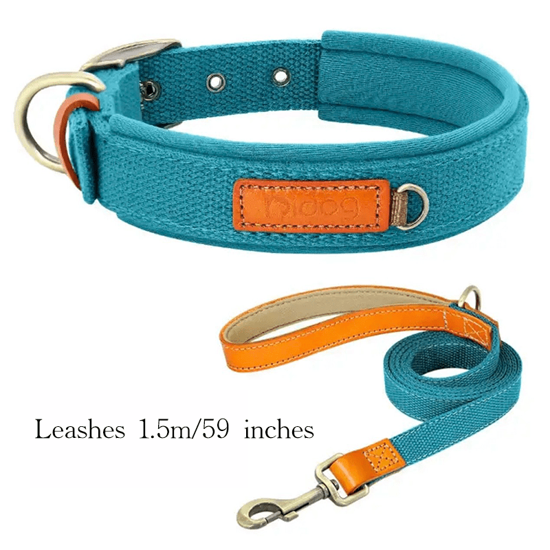 Durable Adjustable Dog Collar with ID Tag