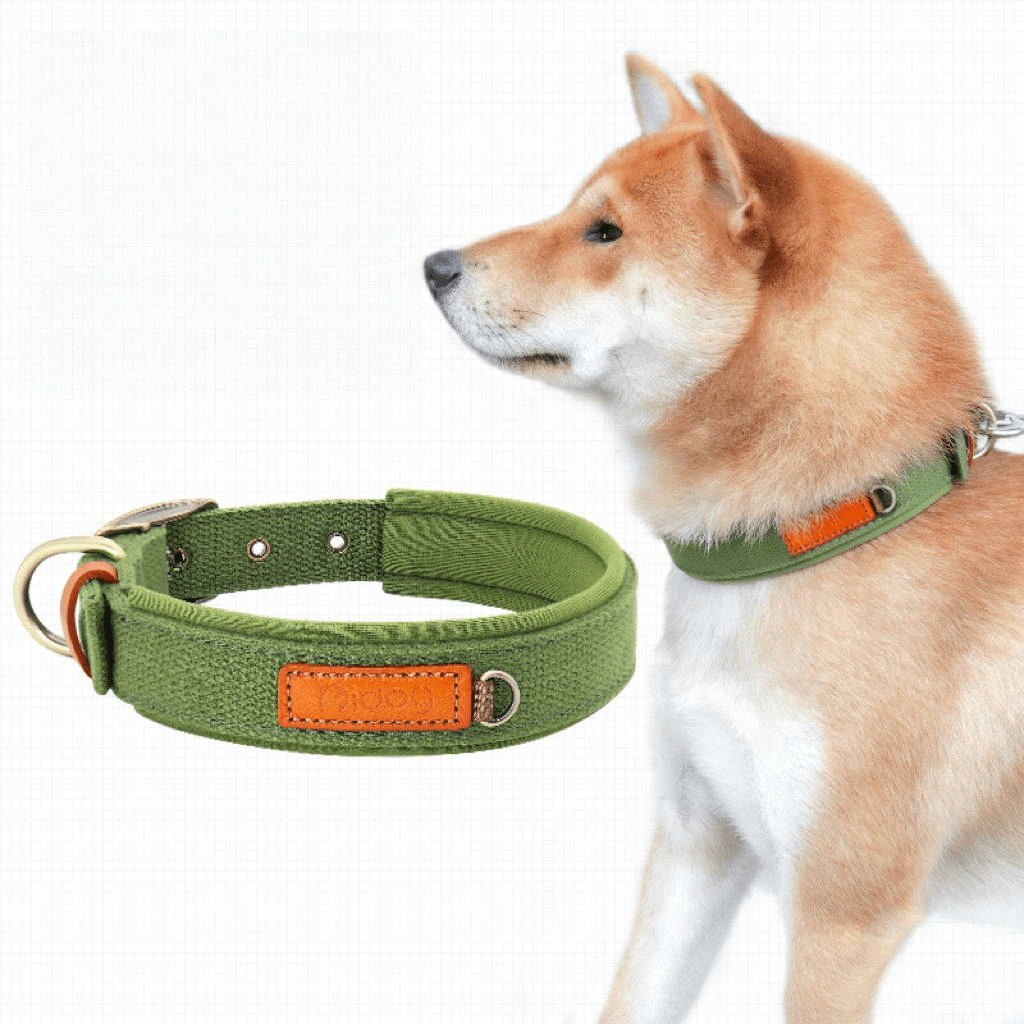 Durable Adjustable Dog Collar with ID Tag
