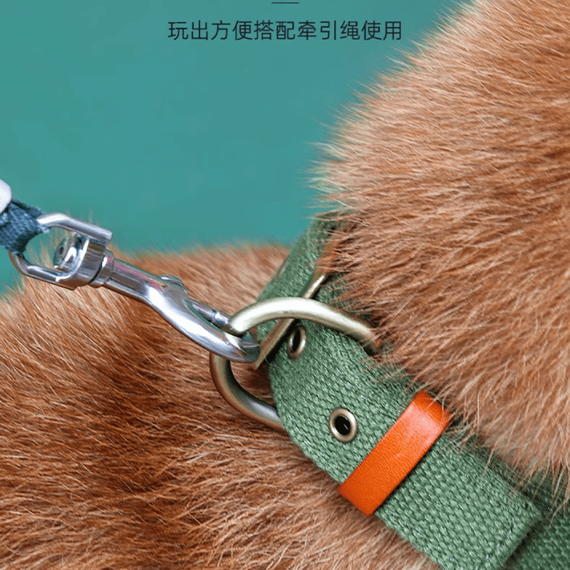 Durable Adjustable Dog Collar with ID Tag