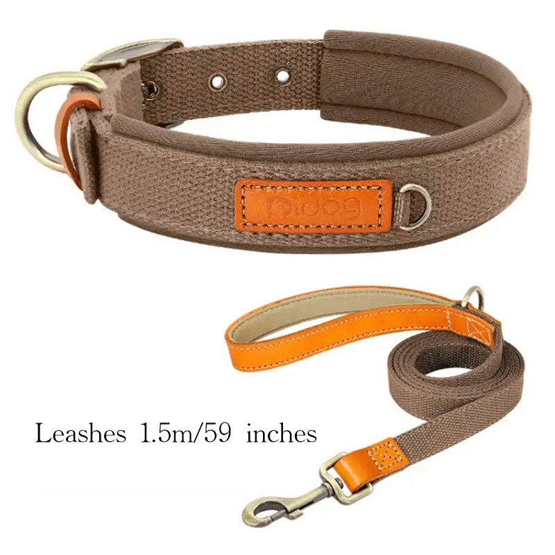 Durable Adjustable Dog Collar with ID Tag