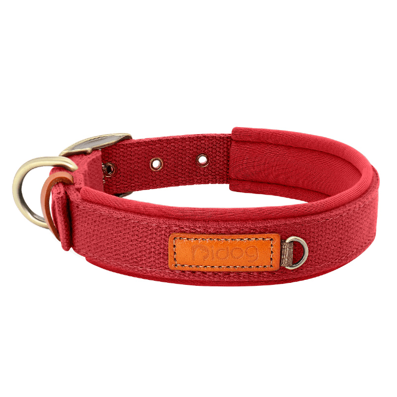 Durable Adjustable Dog Collar with ID Tag