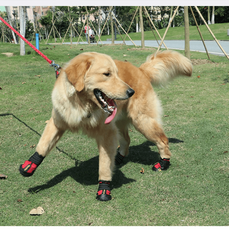 Durable Waterproof Dog Snow Boots