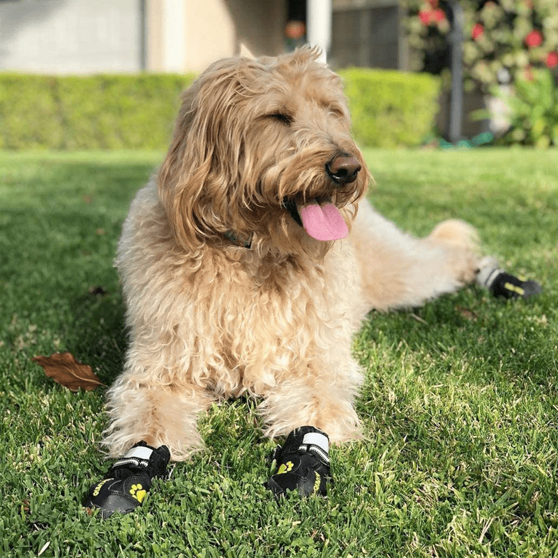 Durable Waterproof Dog Snow Boots