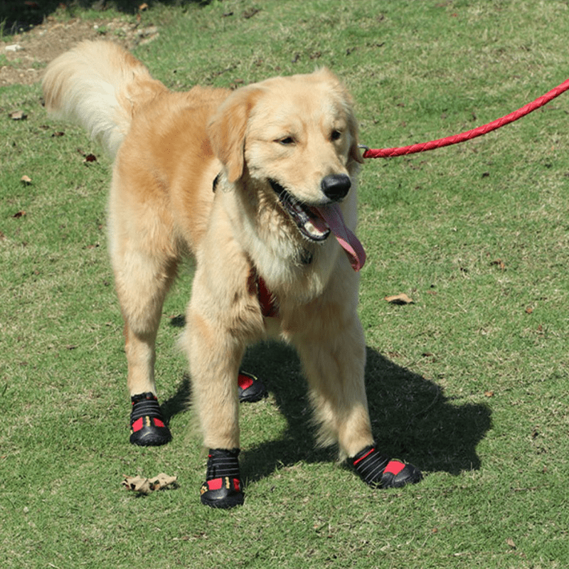 Durable Waterproof Dog Snow Boots