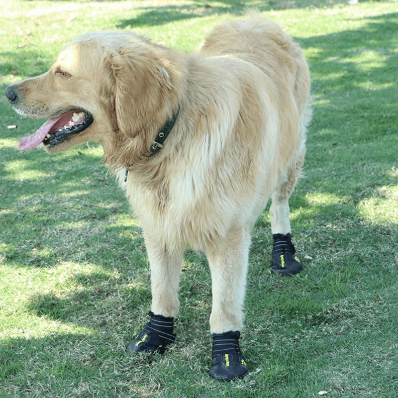 Durable Waterproof Dog Snow Boots