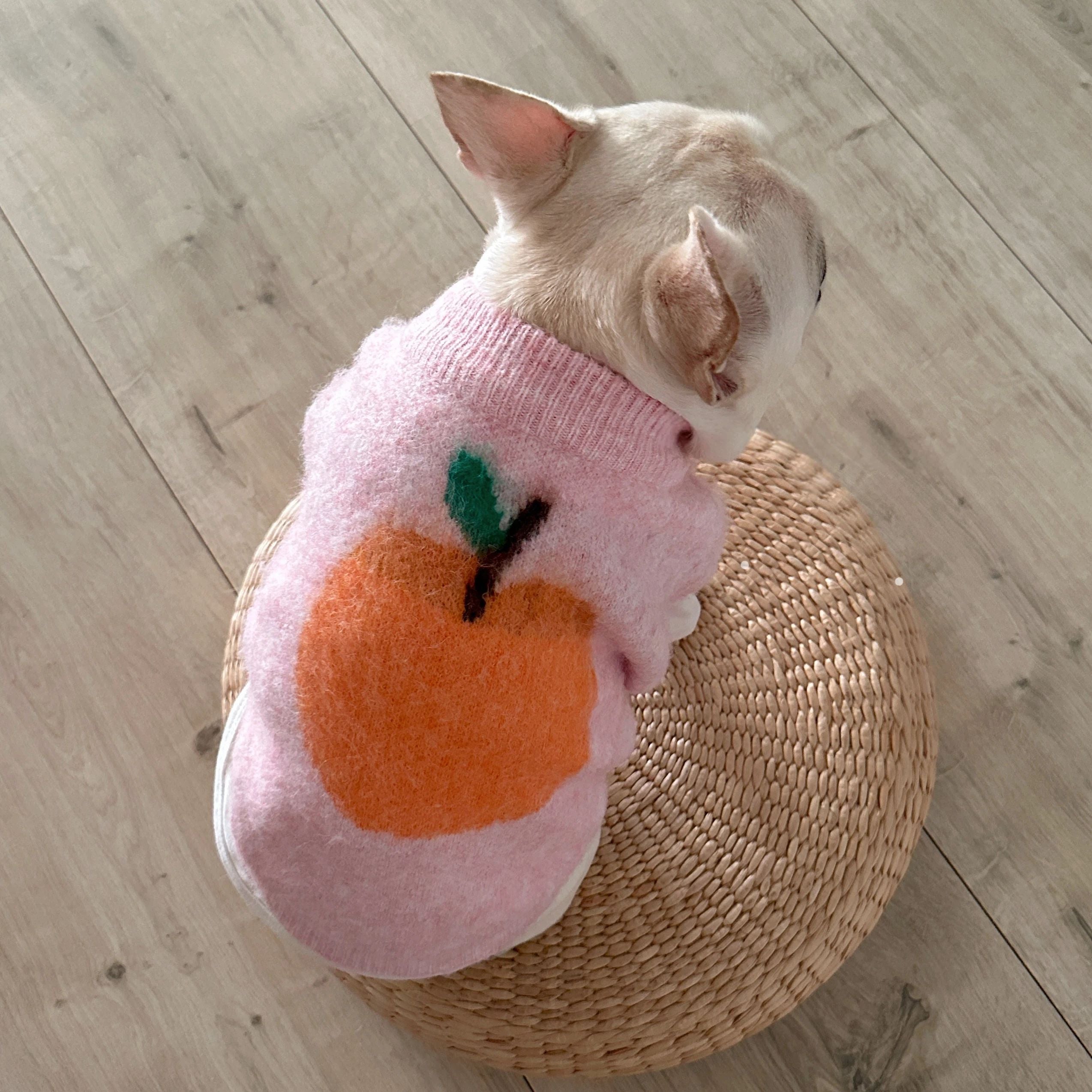 Winter Warm Knit Dog Vest