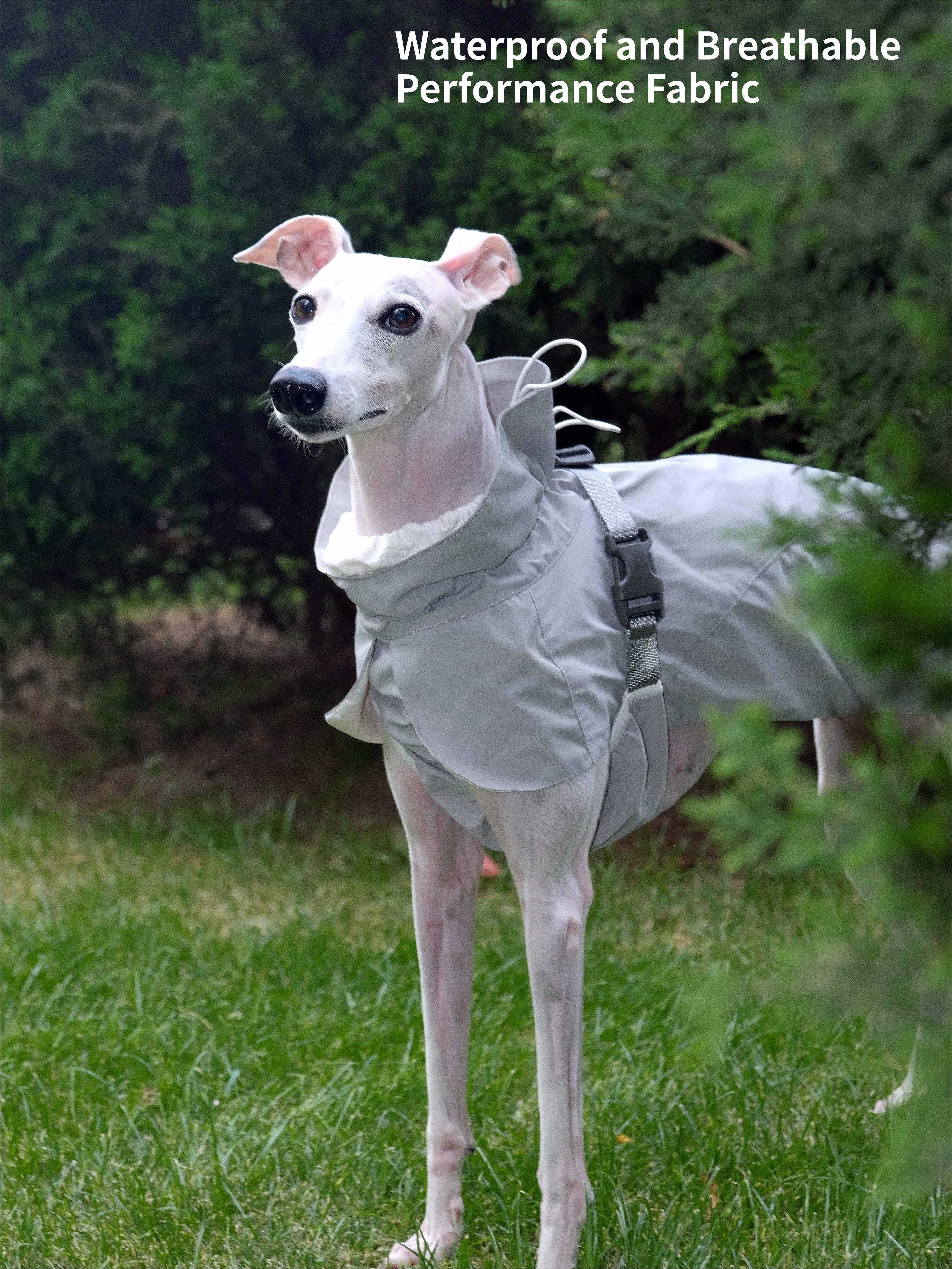 Waterproof Dog Shell Jacket