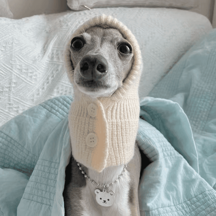 Cozy Italian Greyhound Winter Hat with Fleece Lining