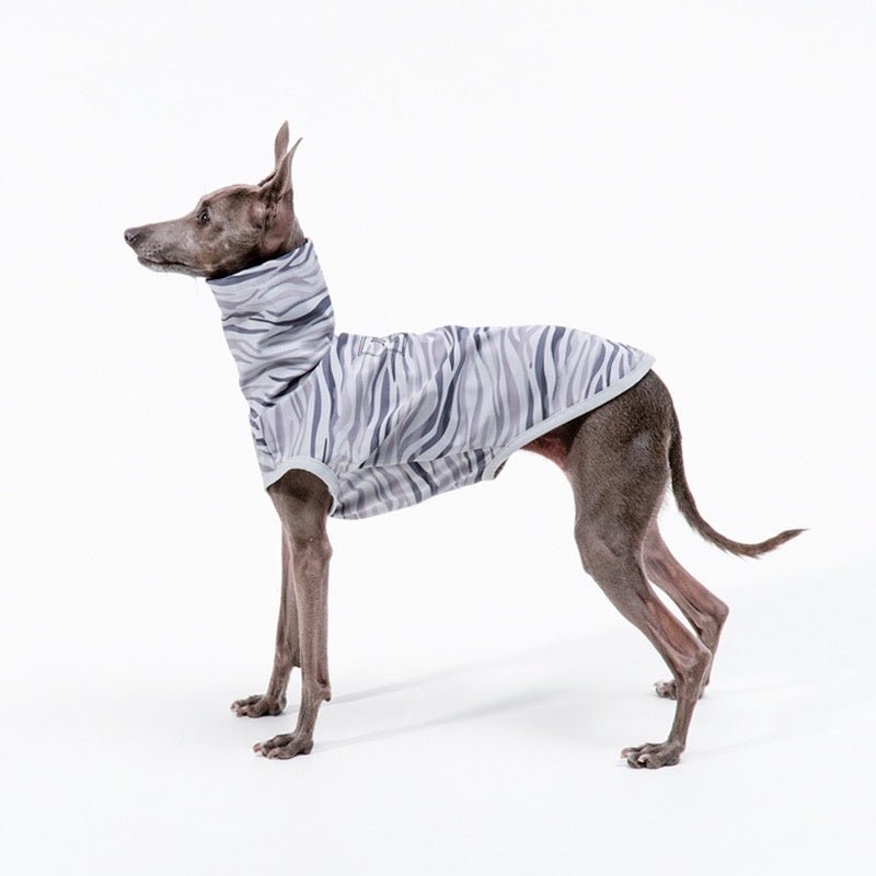 Stretchy Italian Greyhound Sports Shirt