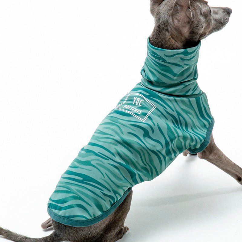 Stretchy Italian Greyhound Sports Shirt