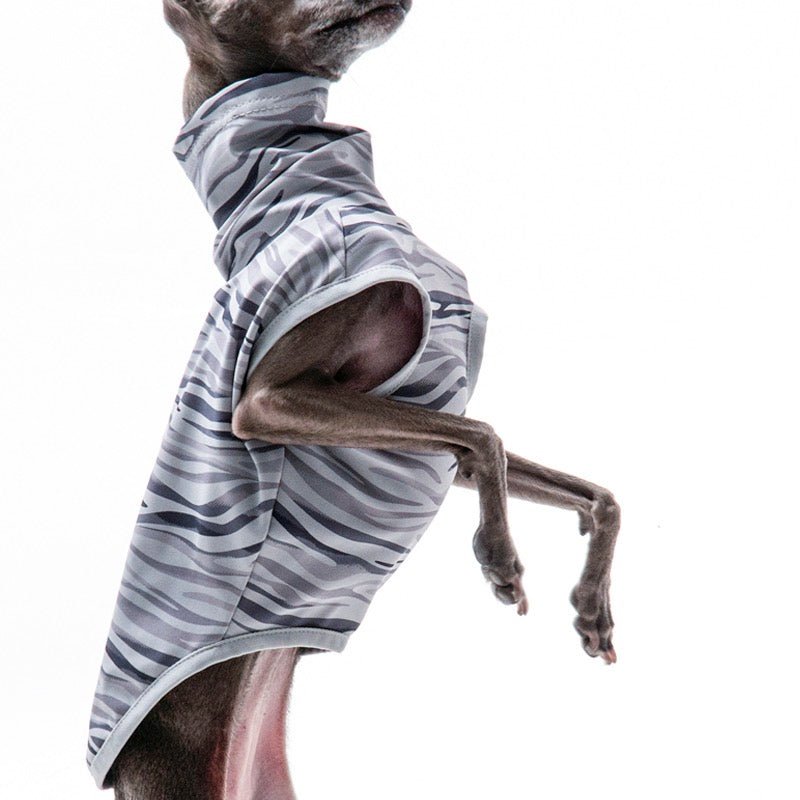 Stretchy Italian Greyhound Sports Shirt
