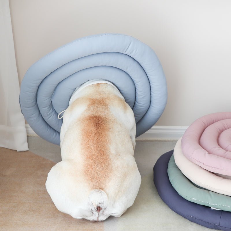 Soft Adjustable Dog Cat Recovery Cone