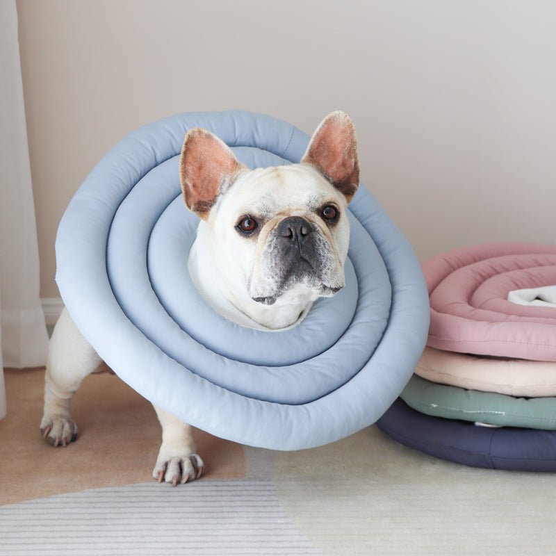 Soft Adjustable Dog Cat Recovery Cone