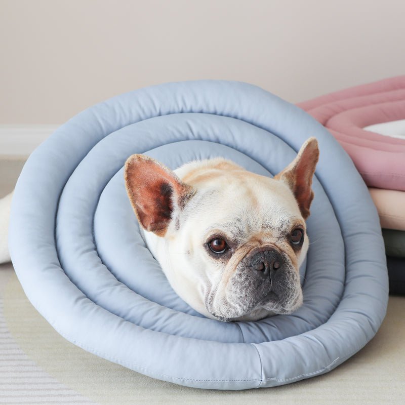 Soft Adjustable Dog Cat Recovery Cone