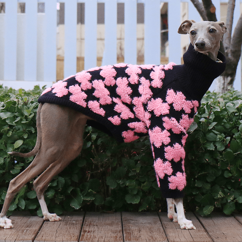 Embroidered High Neck Greyhound Dog Sweater