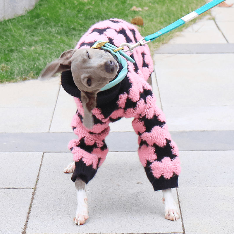 Embroidered High Neck Greyhound Dog Sweater