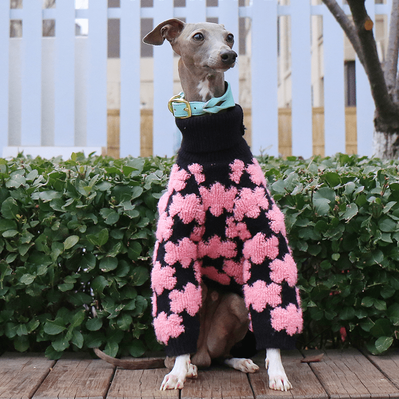 Embroidered High Neck Greyhound Dog Sweater