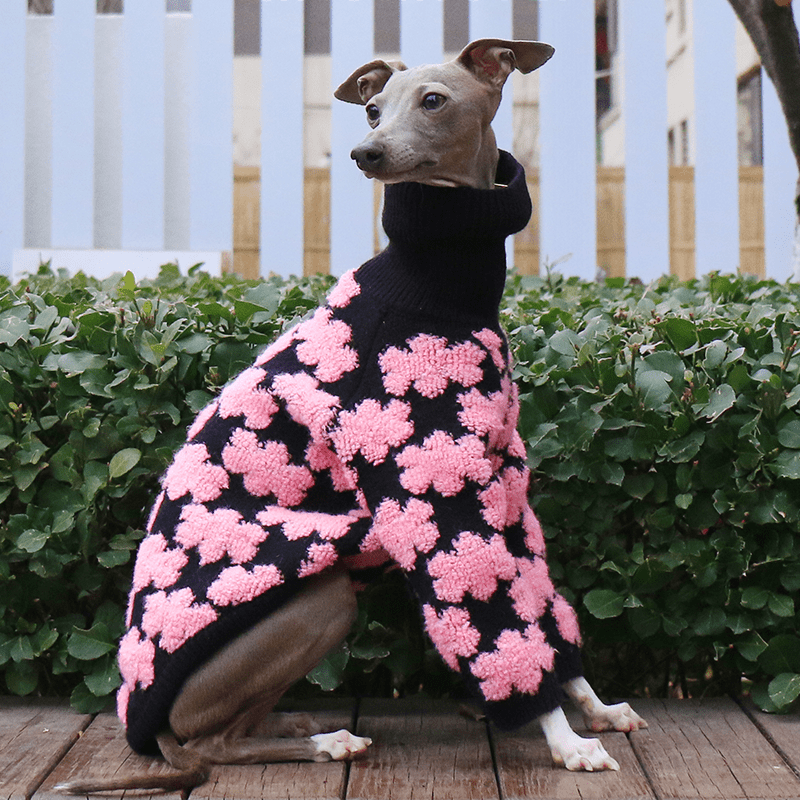 Embroidered High Neck Greyhound Dog Sweater