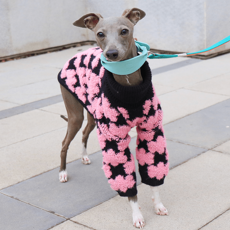 Embroidered High Neck Greyhound Dog Sweater