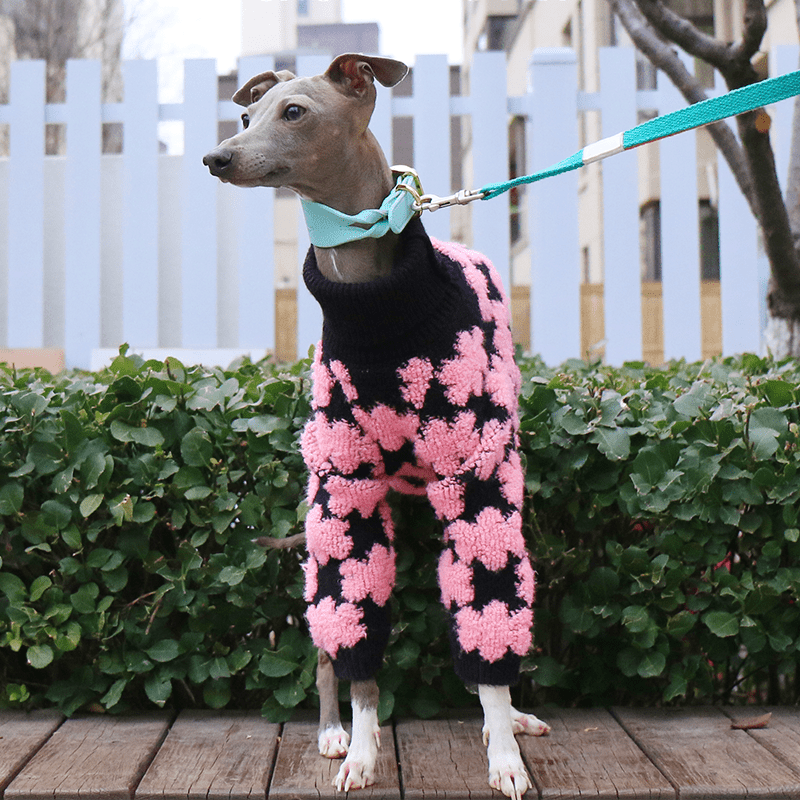 Embroidered High Neck Greyhound Dog Sweater