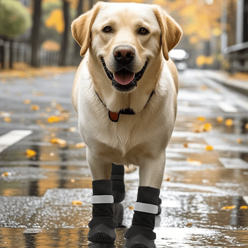 Waterproof Big Dog Essential Boots