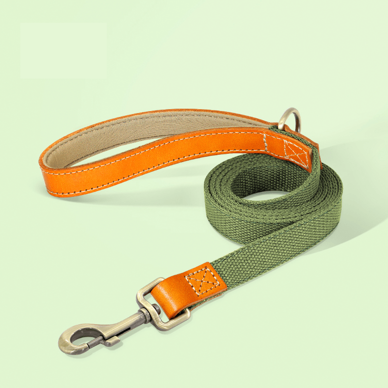 Dual Clip Control Dog Harness Vest