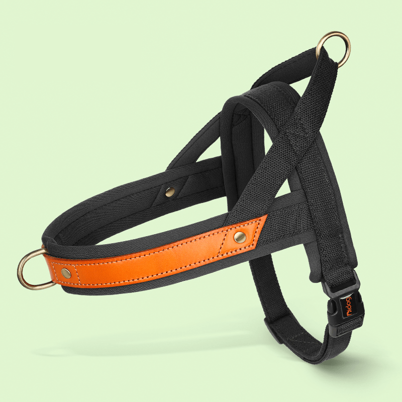 Dual Clip Control Dog Harness Vest