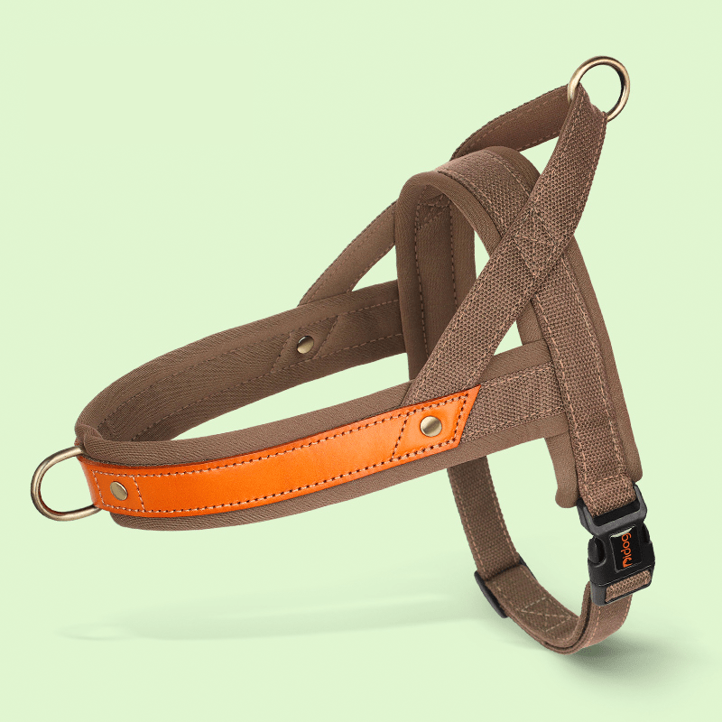 Dual Clip Control Dog Harness Vest