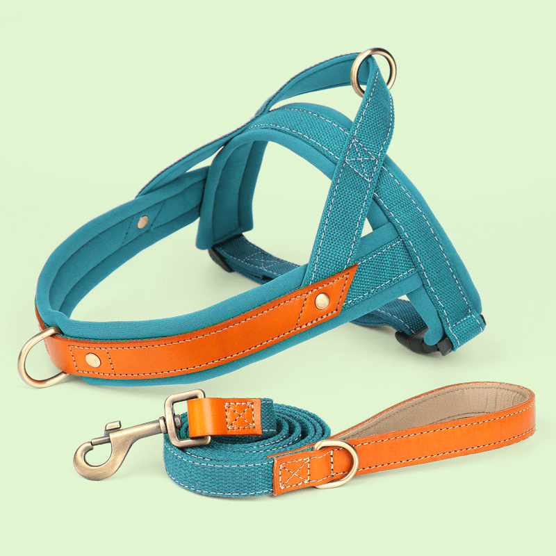 Dual Clip Control Dog Harness Vest