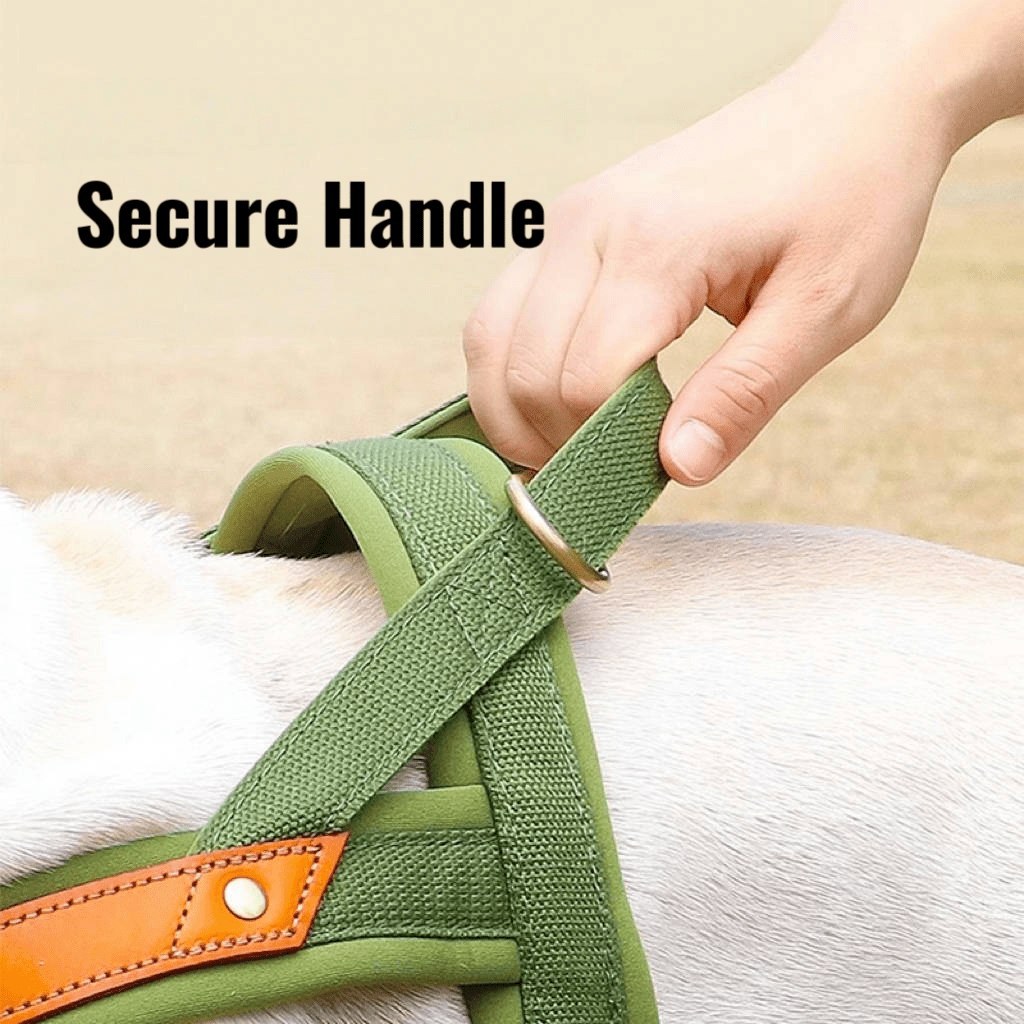 Dual Clip Control Dog Harness Vest