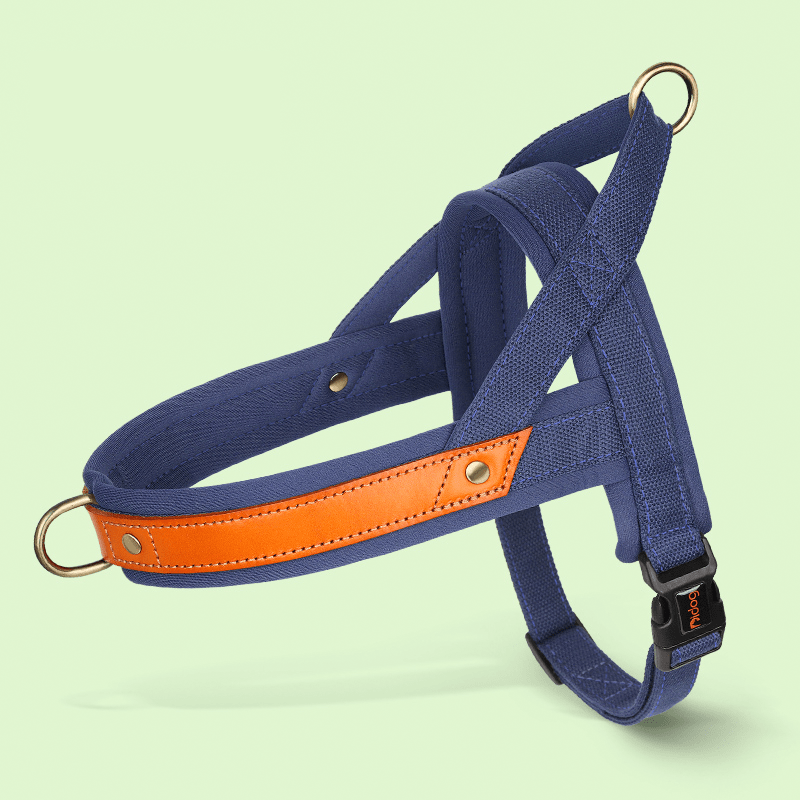 Dual Clip Control Dog Harness Vest