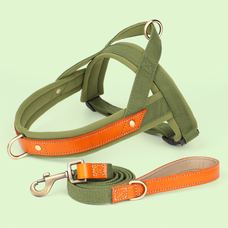 Dual Clip Control Dog Harness Vest