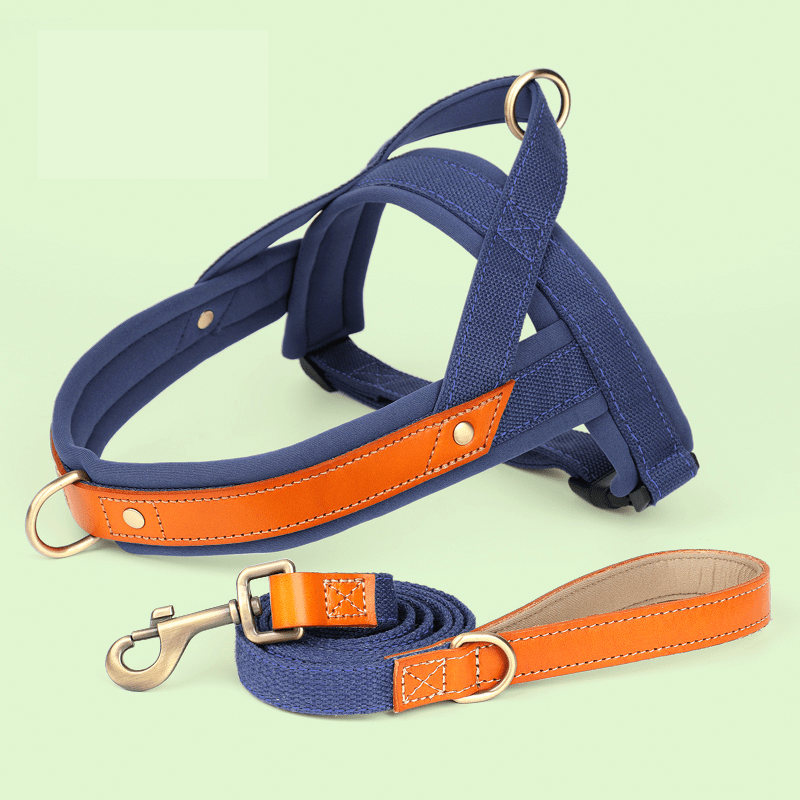 Dual Clip Control Dog Harness Vest