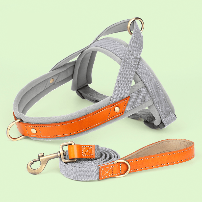 Dual Clip Control Dog Harness Vest