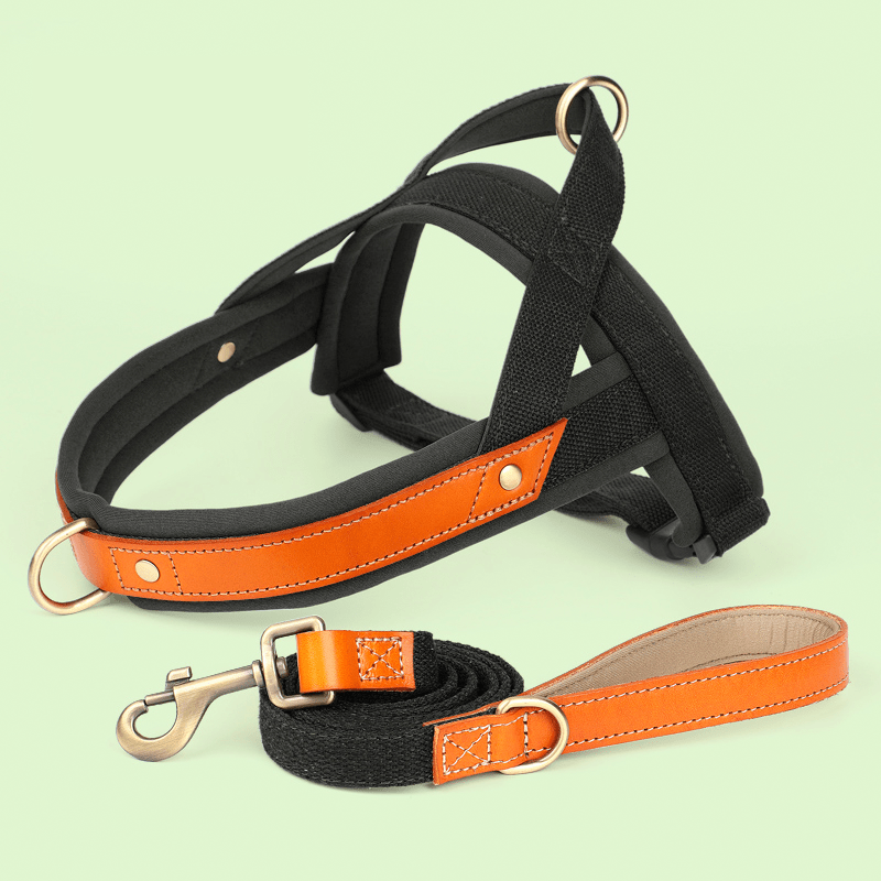 Dual Clip Control Dog Harness Vest