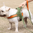 Dual Clip Control Dog Harness Vest