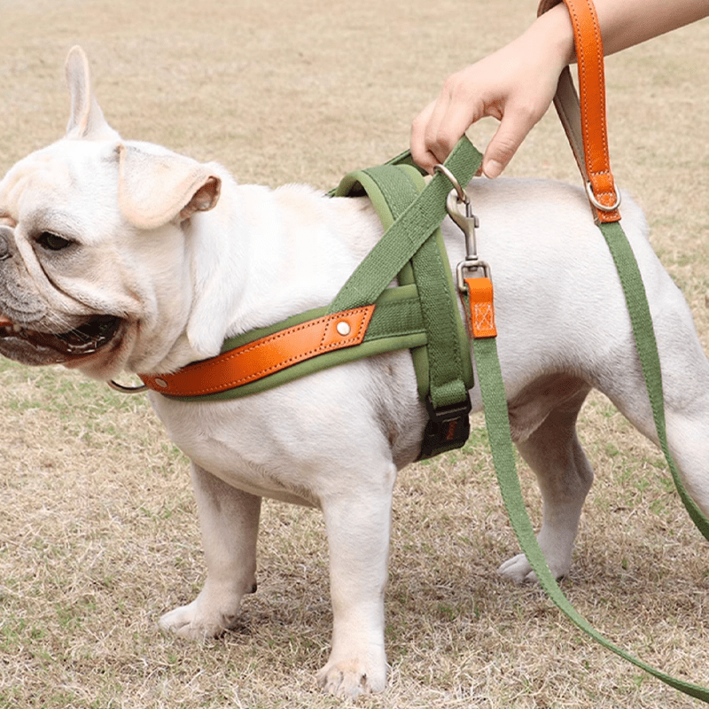 Dual Clip Control Dog Harness Vest