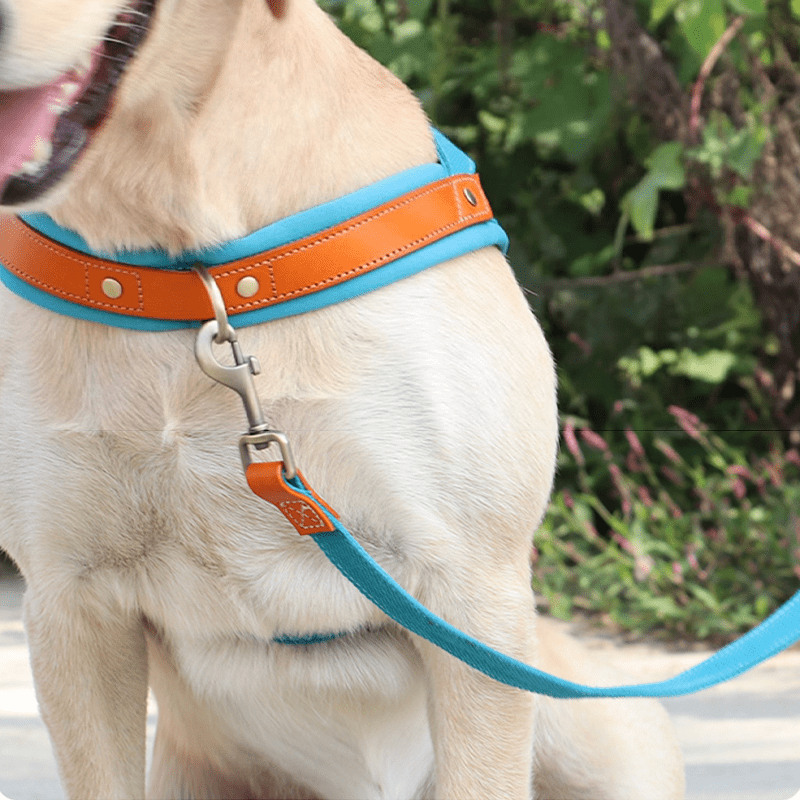 Dual Clip Control Dog Harness Vest