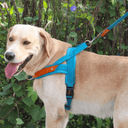 Dual Clip Control Dog Harness Vest