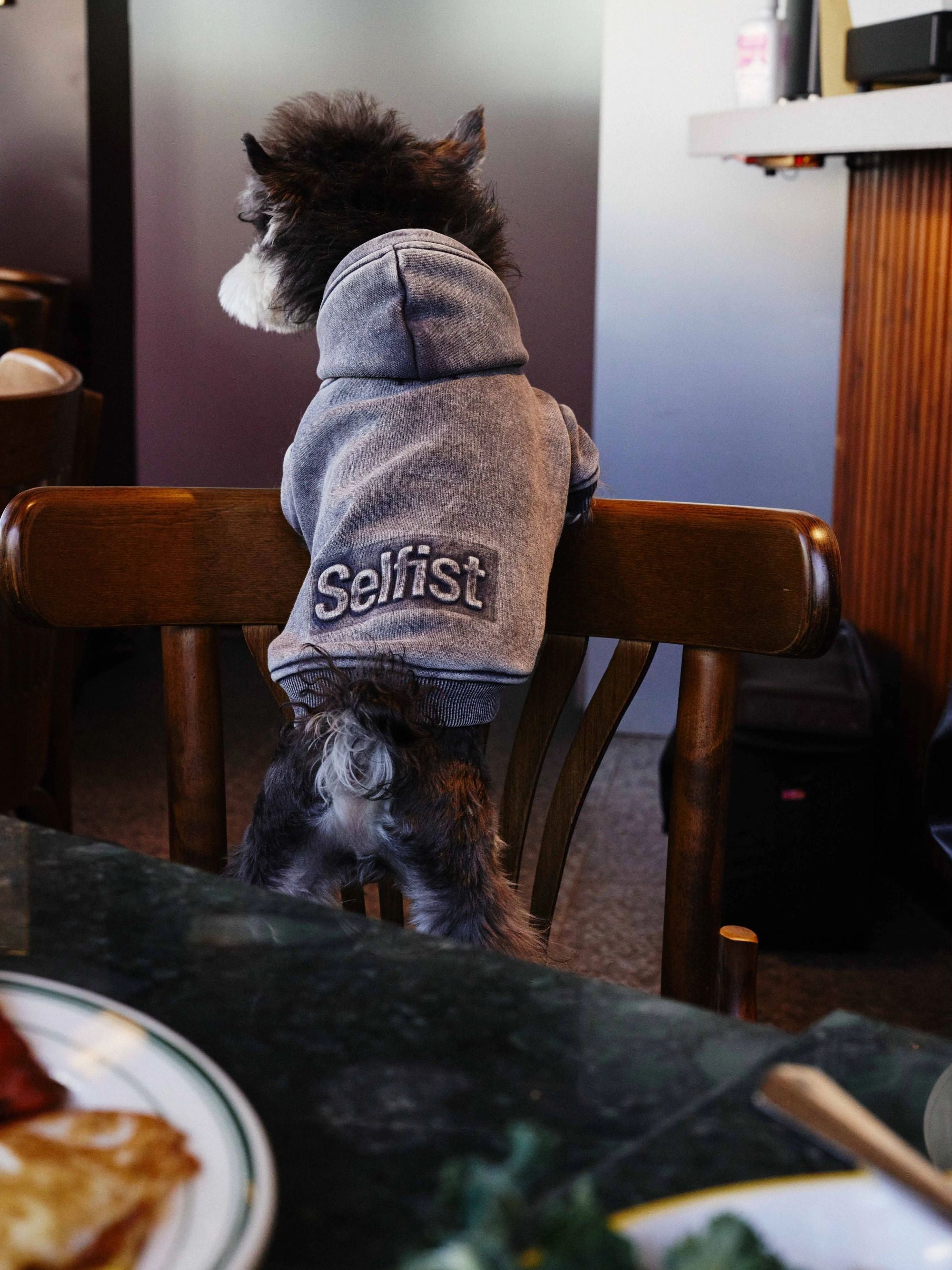 Vintage Dyed Fleece Dog Sweatshirt