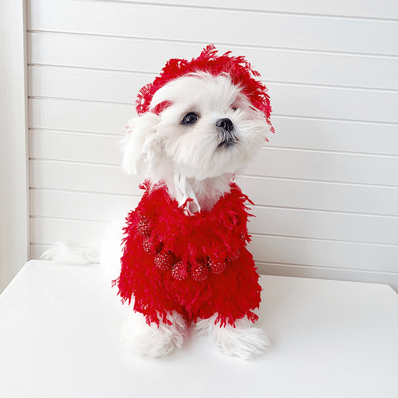 Stylish Warm Small Dog Sweater