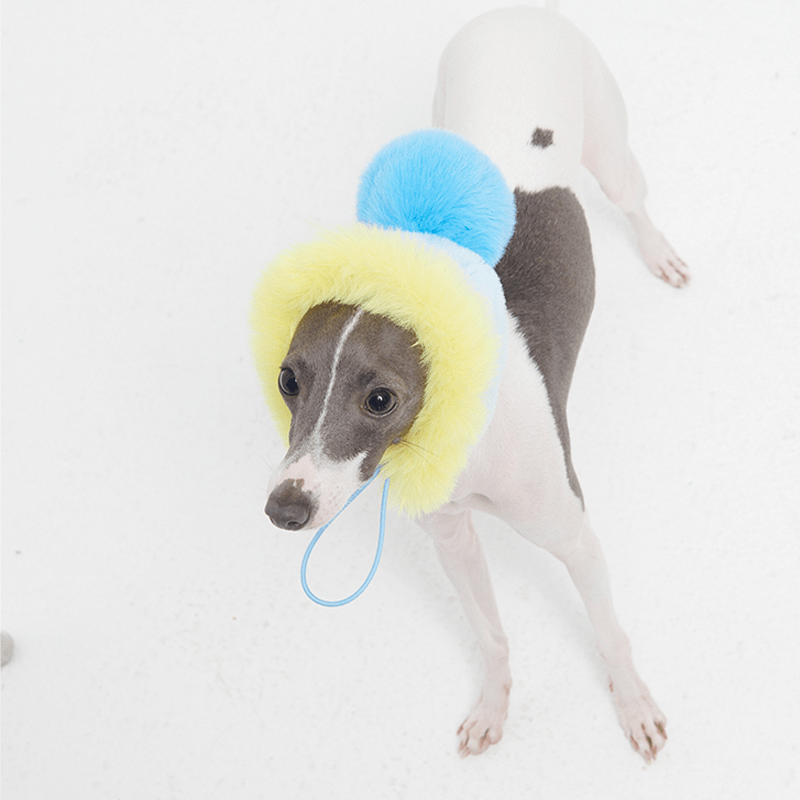 Stylish Multicolor Faux Fur Dog Hat