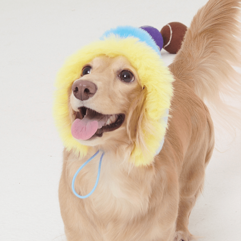 Stylish Multicolor Faux Fur Dog Hat