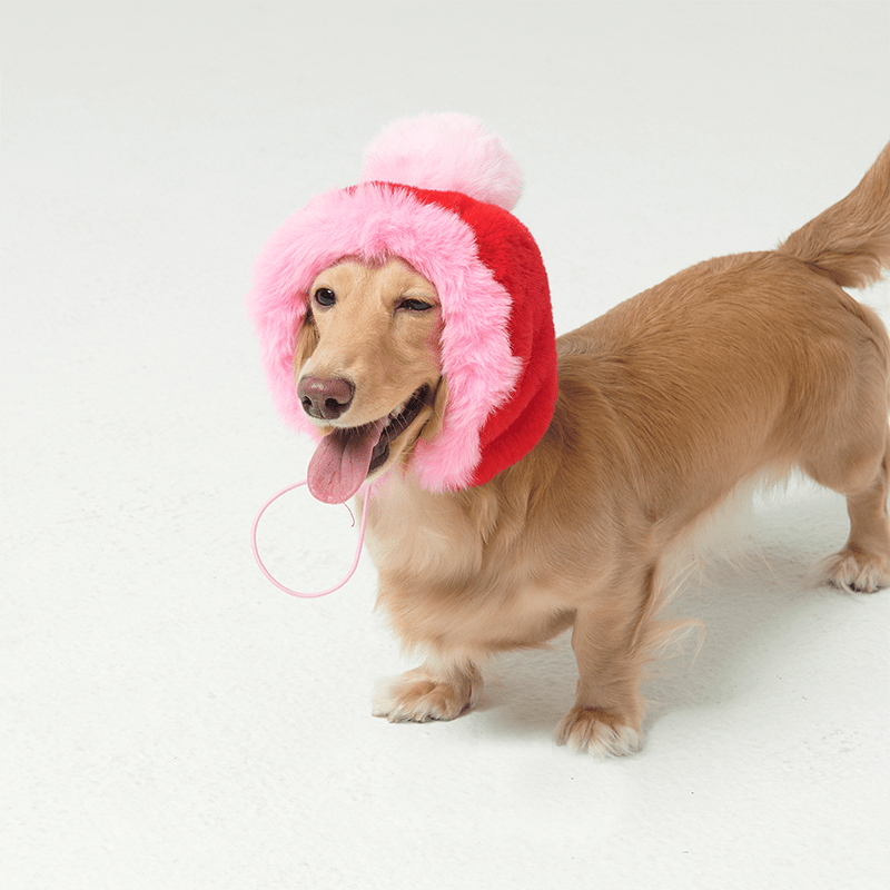 Stylish Multicolor Faux Fur Dog Hat