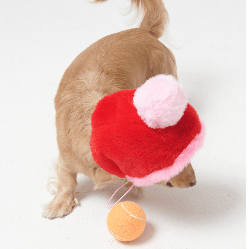 Stylish Multicolor Faux Fur Dog Hat