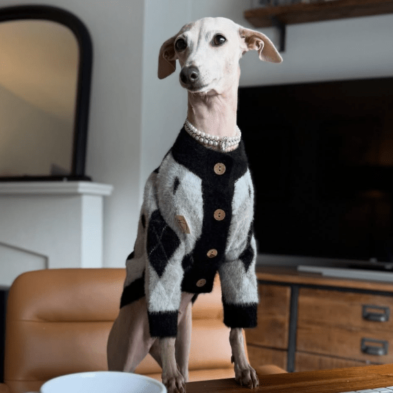 Plush Italian Greyhound Dog Sweater